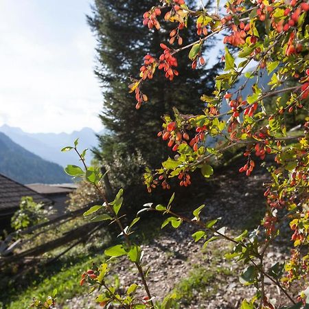 Garni Alpenspitz B&B Racines Ngoại thất bức ảnh