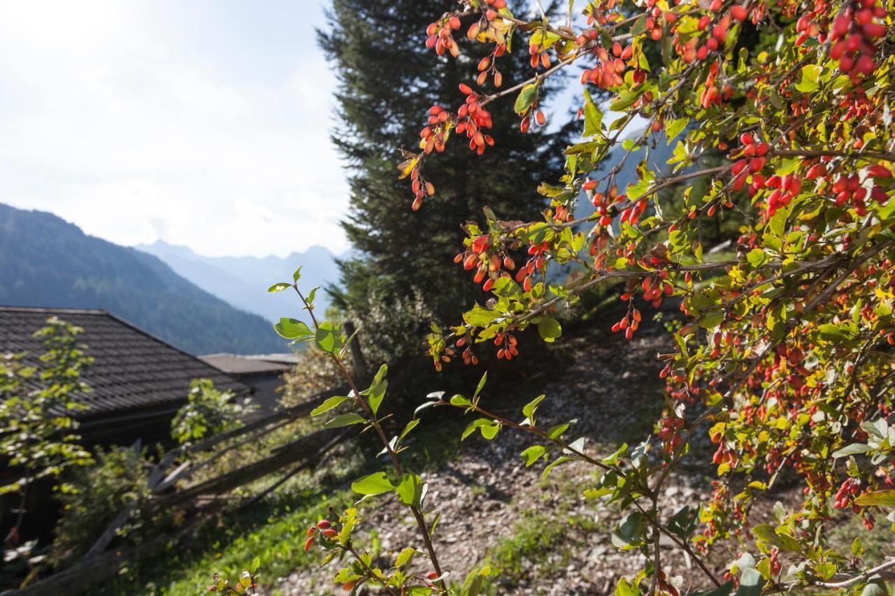Garni Alpenspitz B&B Racines Ngoại thất bức ảnh